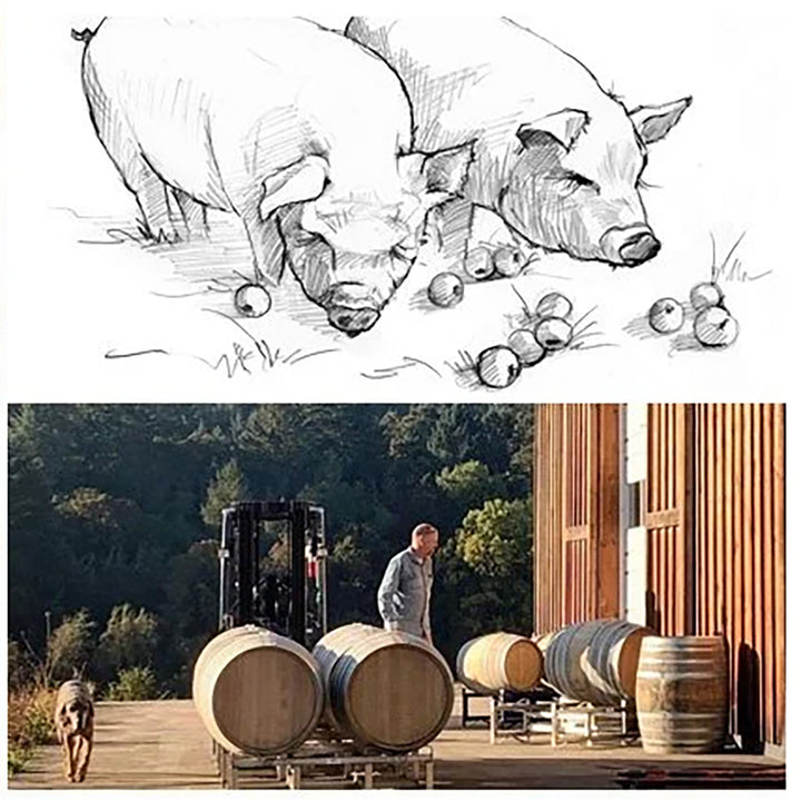 Big Table Farm - Pinot Noir 2023 750ml