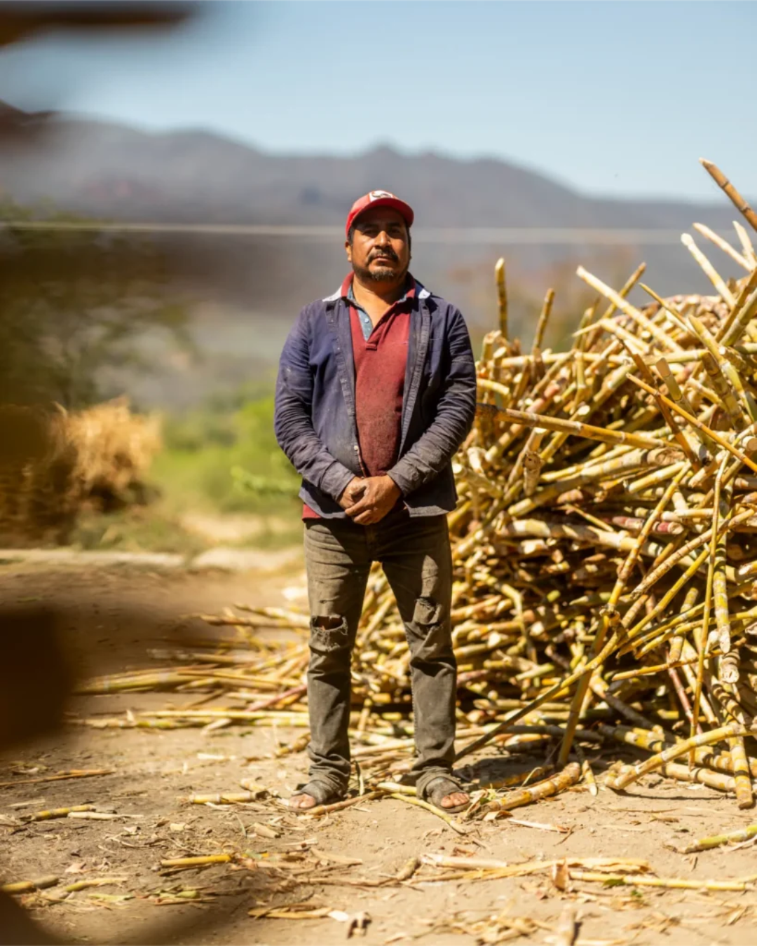 Cana Criolla, Pedro Bautista