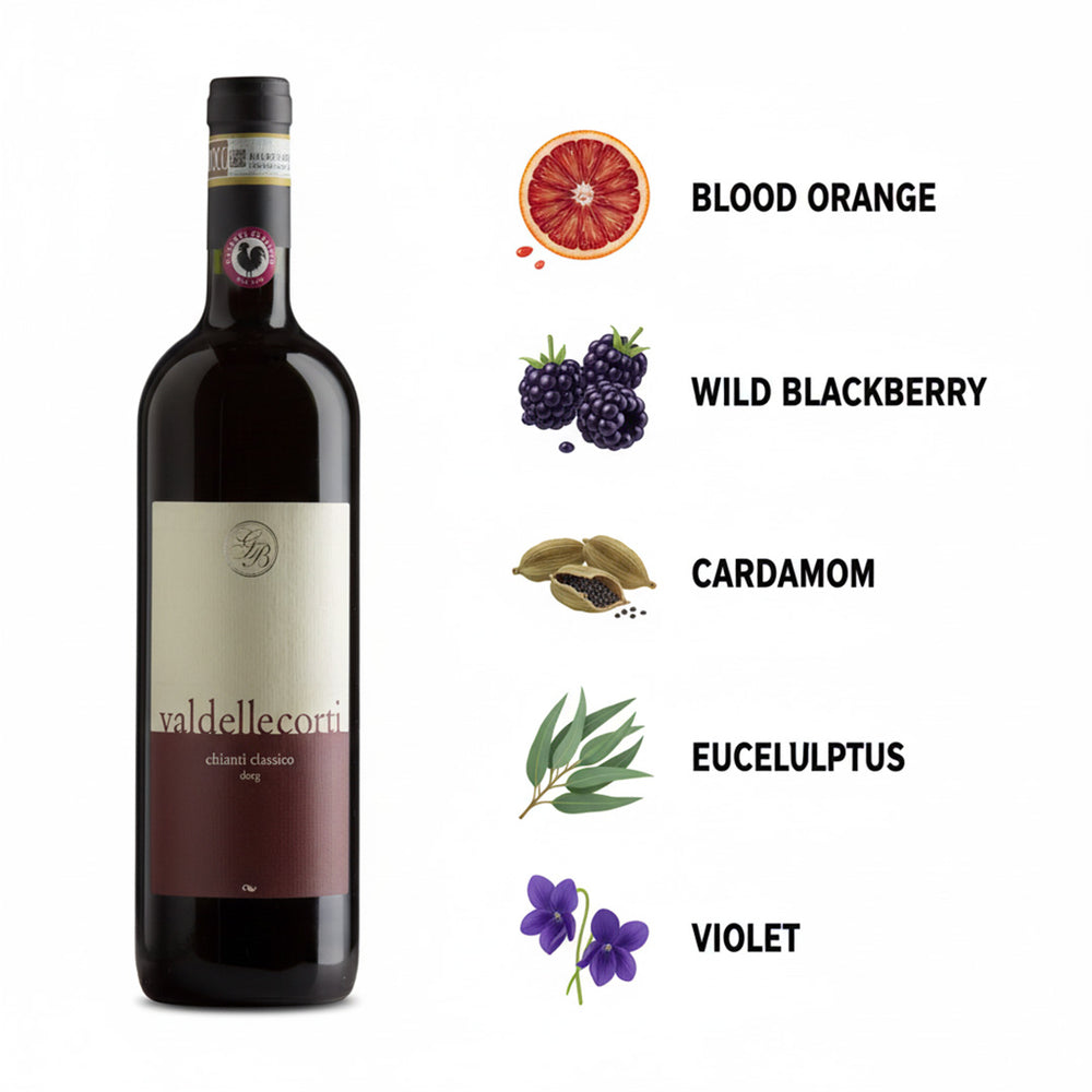 Val_delle_corti_Chianti_Classico Wine bottle with flavor notes including blood orange, wild blackberry, cardamom, eucelulptus, and violet on a white background.